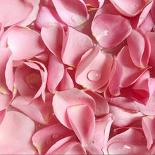 画像をギャラリービューアに読み込む, Rose Bath Ball - Bathing Tapir