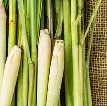 Load image into Gallery viewer, Chamomile, Lemongrass and Lavender Sugar and Sea Salt Body Scrub
