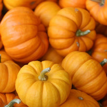 Load image into Gallery viewer, Honey Pumpkin Essential Oil Soap
