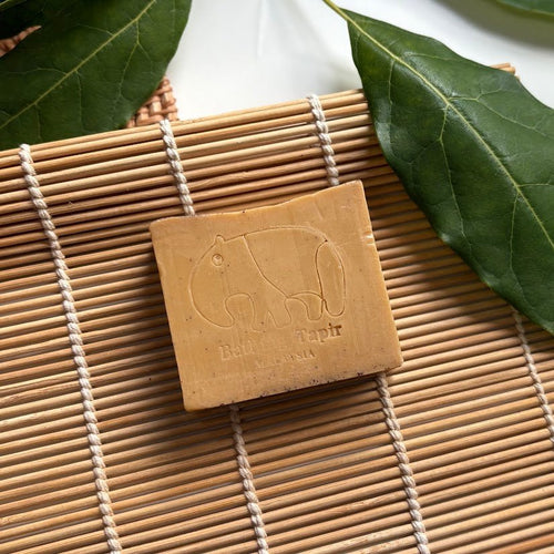 Coffee Essential Oil Soap - Bathing Tapir