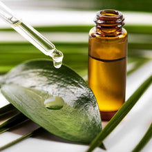 Load image into Gallery viewer, Tea Tree Essential Oil Soap - Bathing Tapir
