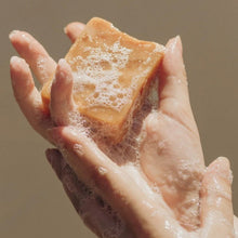 Load image into Gallery viewer, Essential Oil Soap Set (Vegan, Kraft Box) - Bathing Tapir
