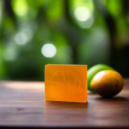 Mango Sea Cucumber Soap - Bathing Tapir