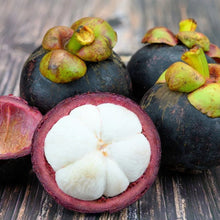 Load image into Gallery viewer, Mangosteen Sea Cucumber Soap - Bathing Tapir
