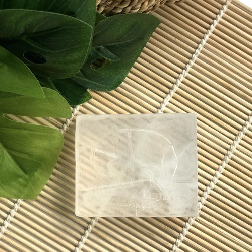 Pure Sea Cucumber Soap (Fragrance & Essential Oil Free) - Bathing Tapir