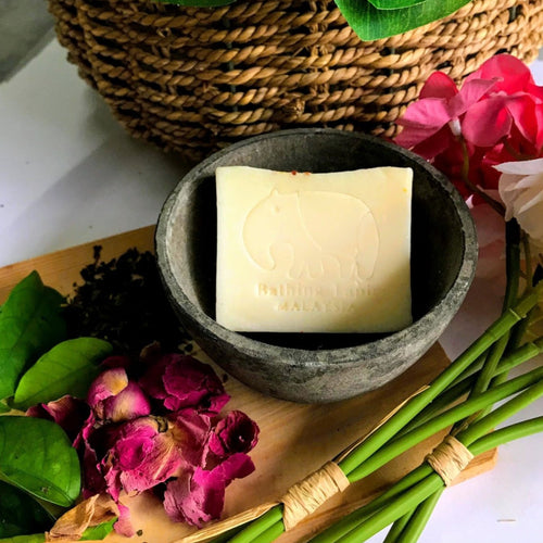 Coconut Essential Oil Soap - Bathing Tapir