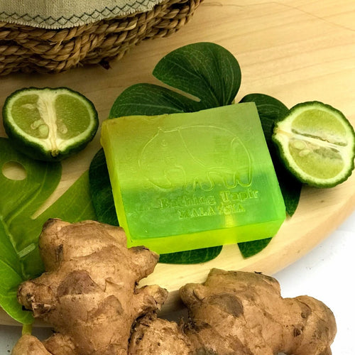 Ginger Lime Essential Oil Soap - Bathing Tapir
