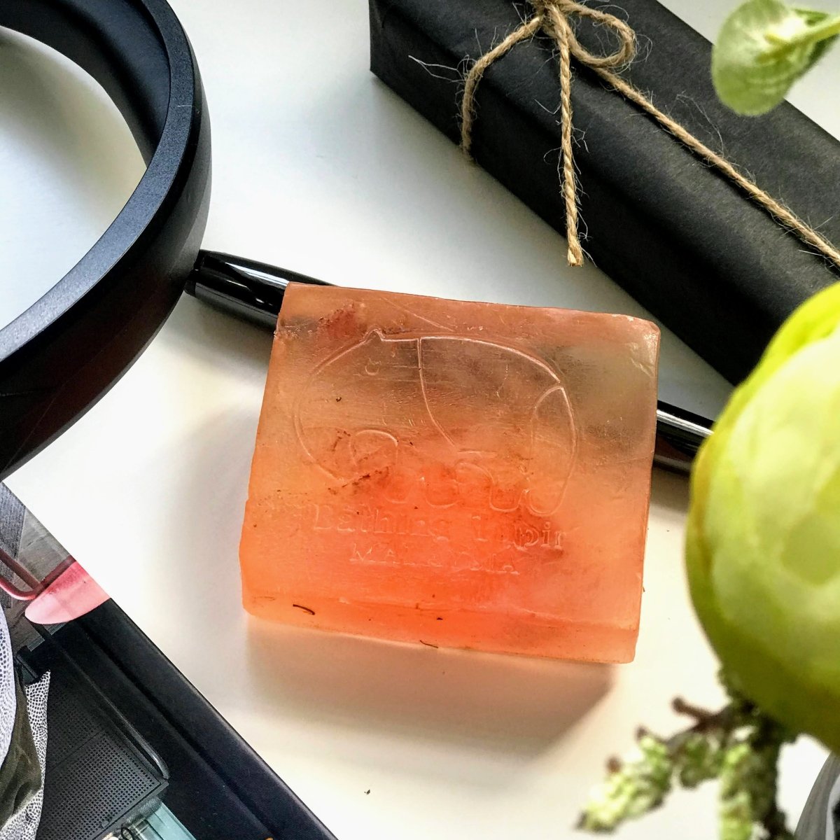Hibiscus Sea Cucumber Soap