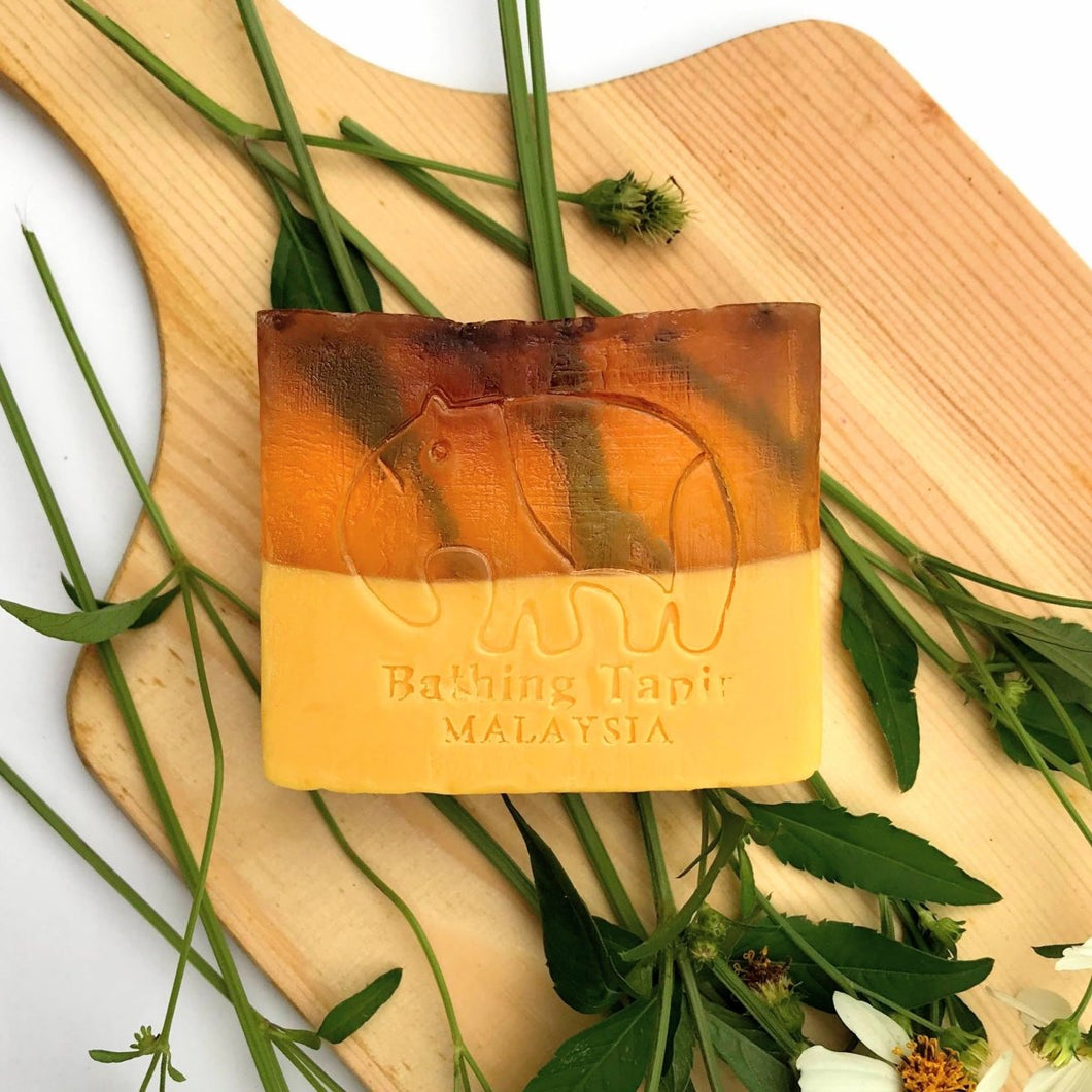 Honey Pumpkin Essential Oil Soap - Bathing Tapir