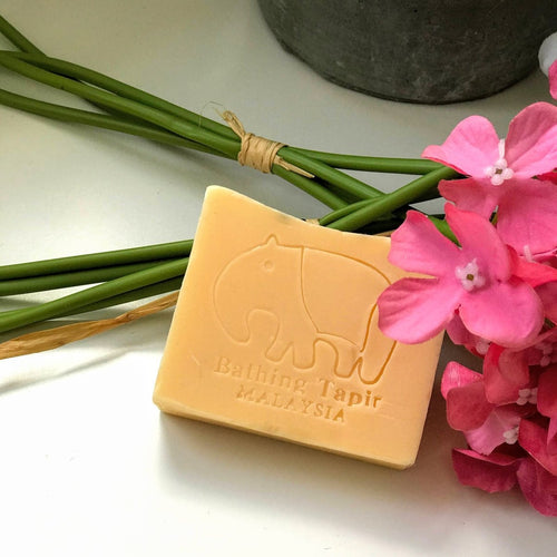Jackfruit Essential Oil Soap - Bathing Tapir