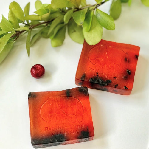 Mix Berries Essential Oil Soap - Bathing Tapir