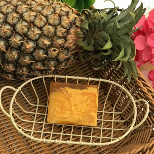 Pineapple Sea Cucumber Soap - Bathing Tapir