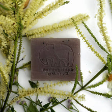 Load image into Gallery viewer, Sea Mud Essential Oil Soap - Bathing Tapir
